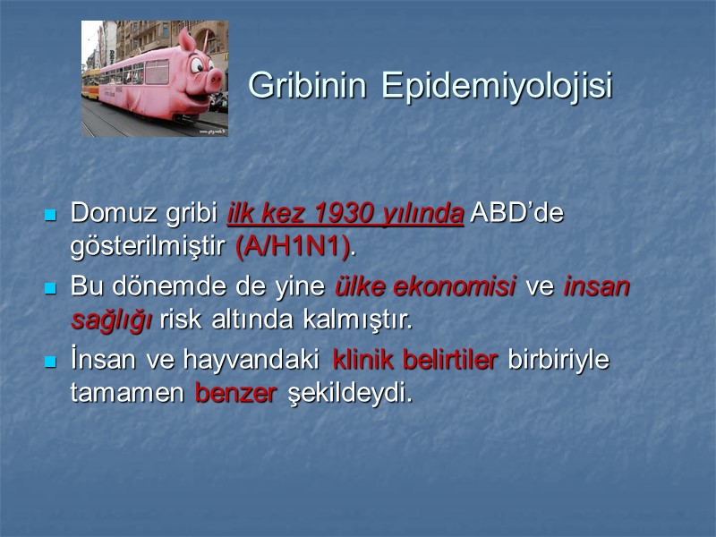 Gribinin Epidemiyolojisi  Domuz gribi ilk kez 1930 yılında ABD’de gösterilmiştir (A/H1N1). Bu dönemde
